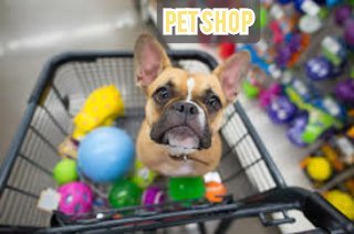 Pet Shop em Planaltina GO