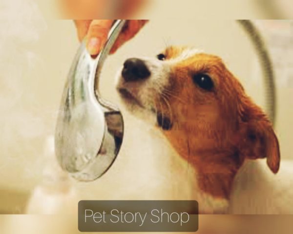 Pet Shop em Planaltina GO